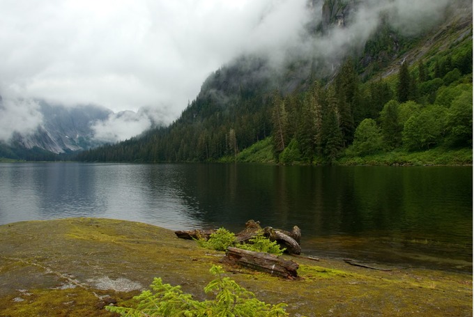 MistyFiords 10 1484