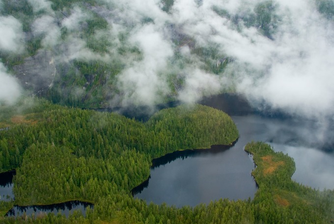 MistyFiords 4 1464