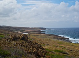 Aruba NECoastNaturalPool 0492