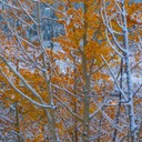 APC_0138-Edit-2