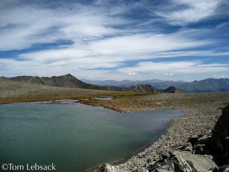 Pacific Tarn