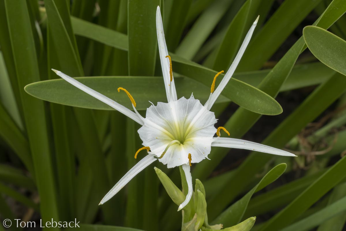 D81_7492 Edit-2-Edit