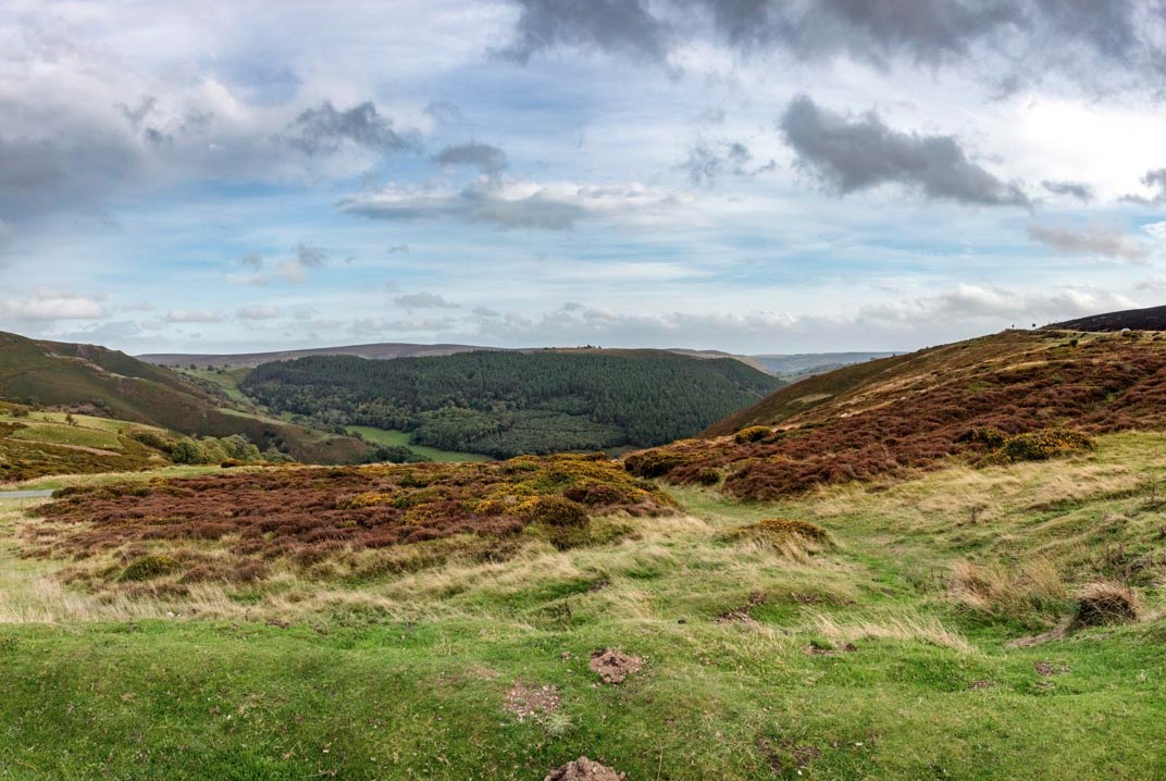 D81_1356 Pano-Edit-2%20Small