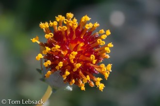 DSC0715-Edit