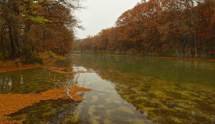 Guadalupe River 1611