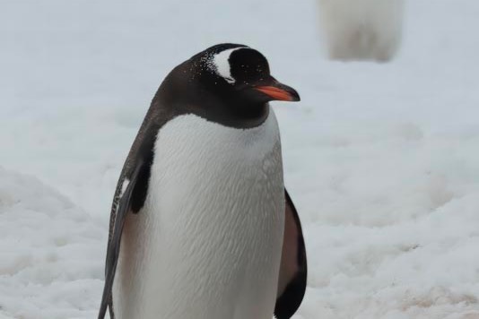 D82_2854 Edit%20Small