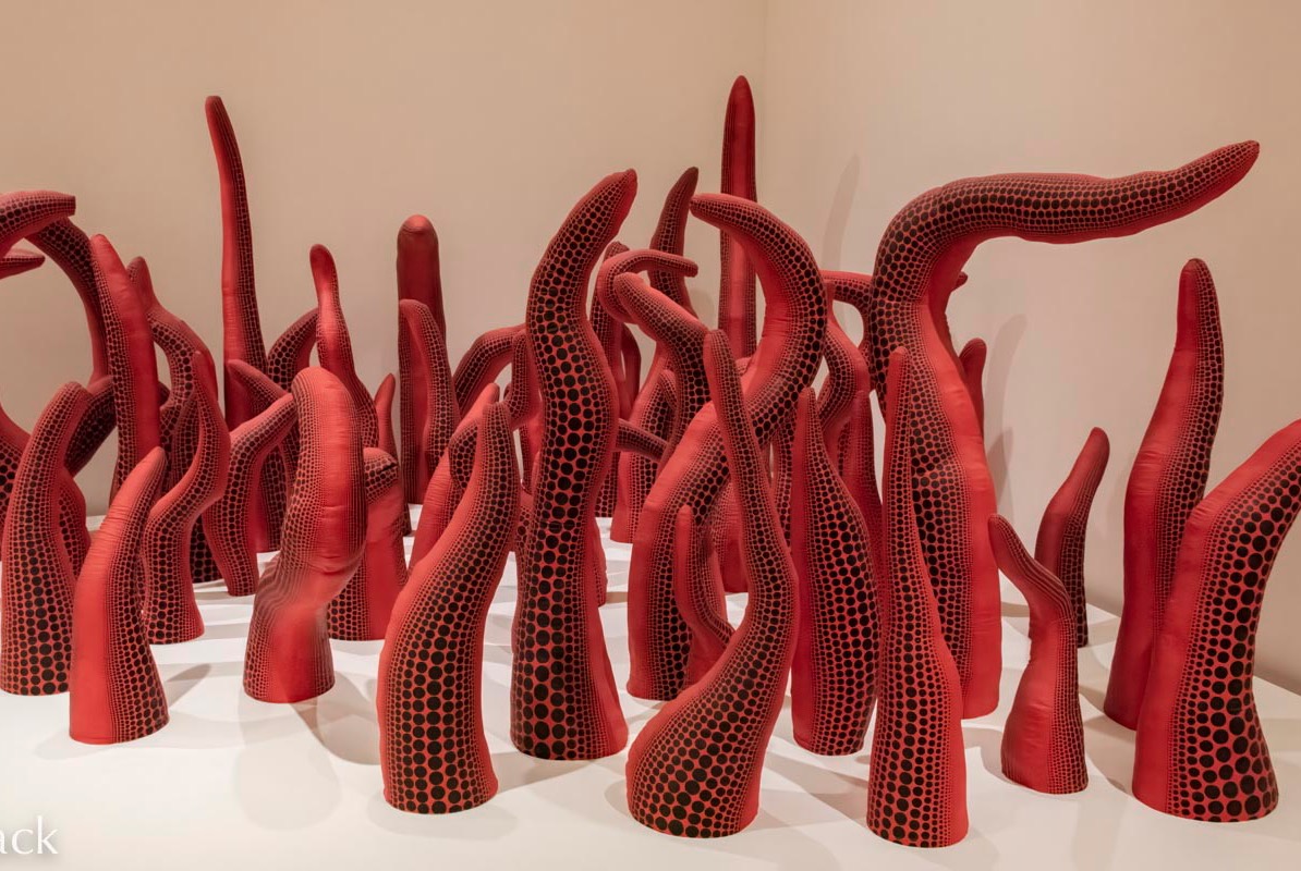 D82_1816 Edit%20Small