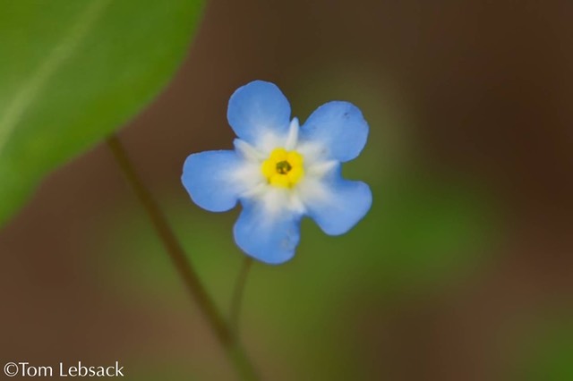 _DSC0347 (1)