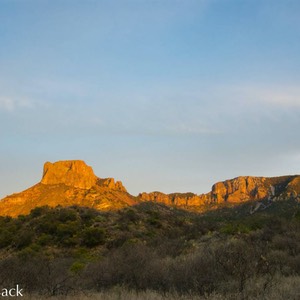 _DSC0391