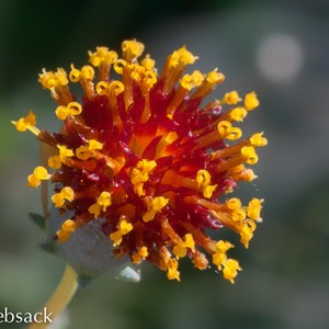 _DSC0715-Edit