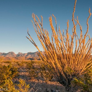 _DSC1835-Edit-2