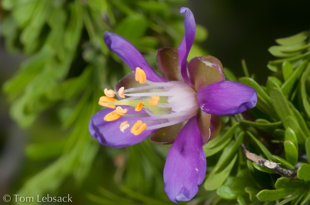 _DSC3954-Edit