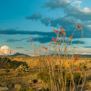 _DSC4680-Pano