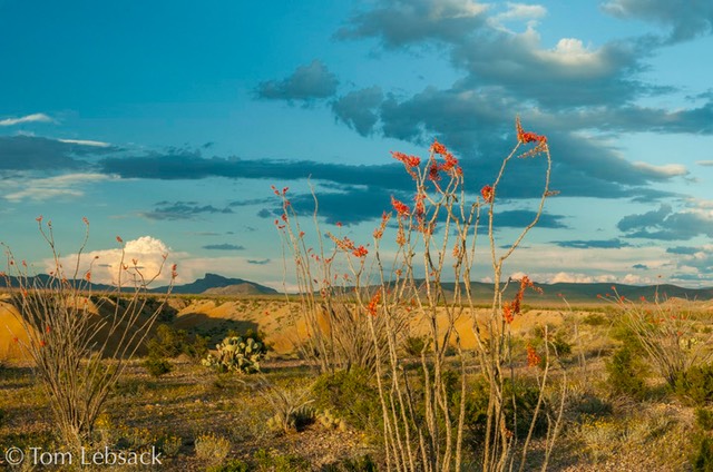 _DSC4680-Pano