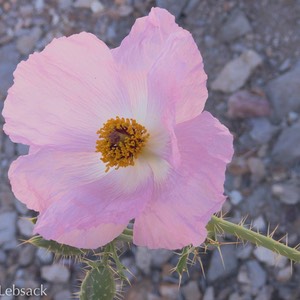 APC_1168-Edit