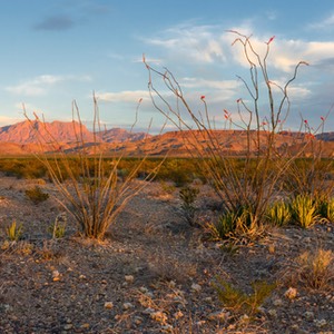 D81_0898-Pano-Edit