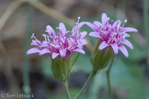 D81_1109-Edit