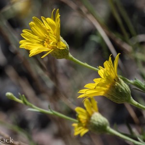 D81_2372-Edit
