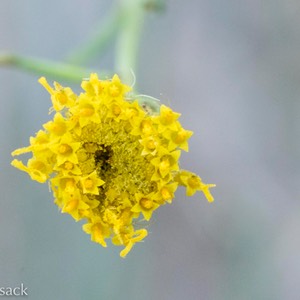 D81_4480