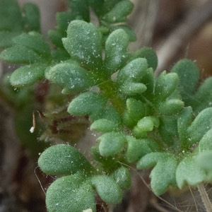 D81_4758-2