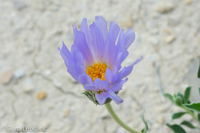D81_4891