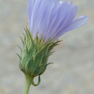 D81_4900