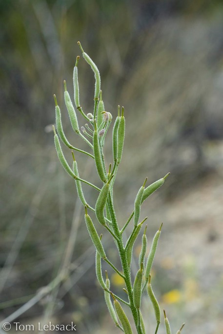 D81_5119
