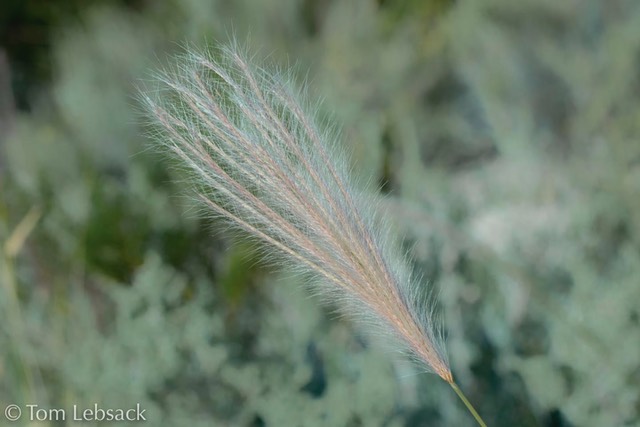 D81_5156-Edit