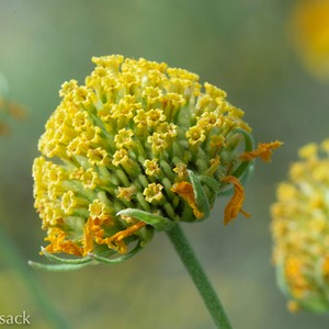 D81_5417