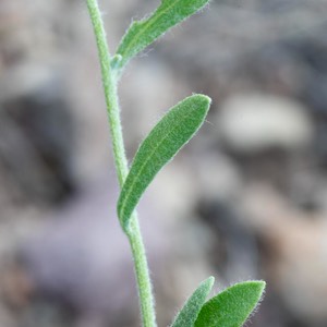D81_6040