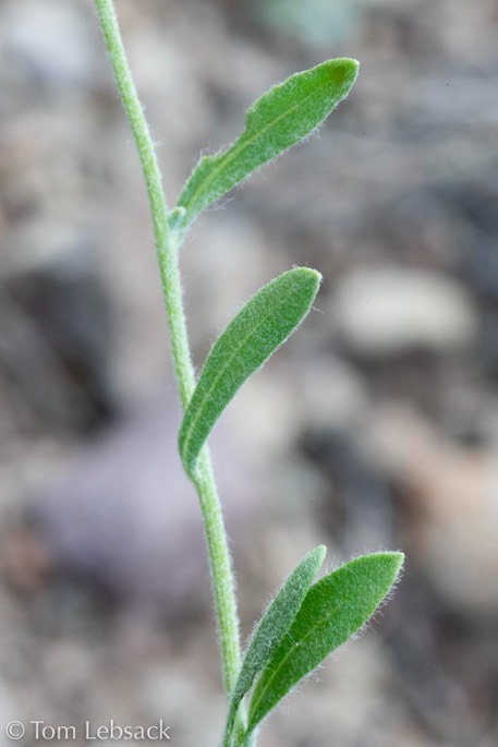 D81_6040
