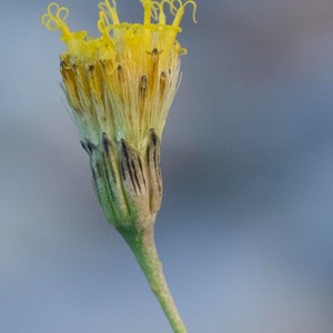 D81_6451