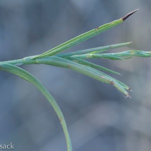 D81_6571