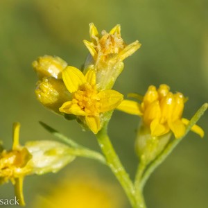 D81_7912-Edit