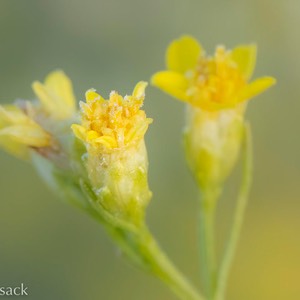 D81_7928-Edit