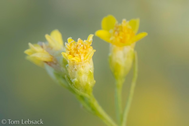 D81_7928-Edit