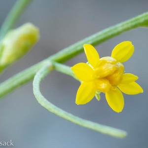 D81_7951-Edit