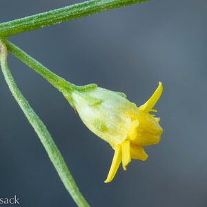 D81_7954-Edit