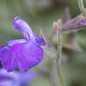 D82_1029-Edit