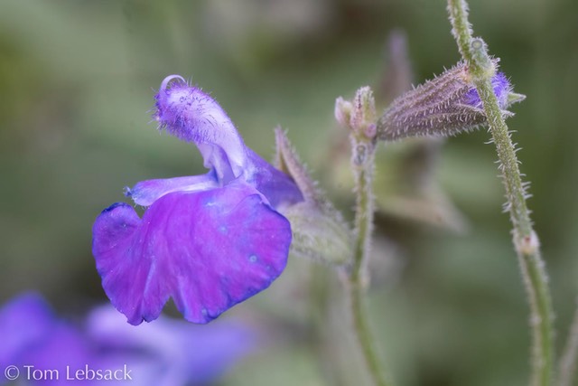 D82_1029-Edit