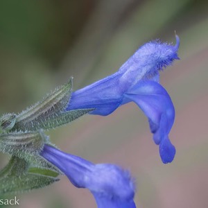 D82_1033-Edit
