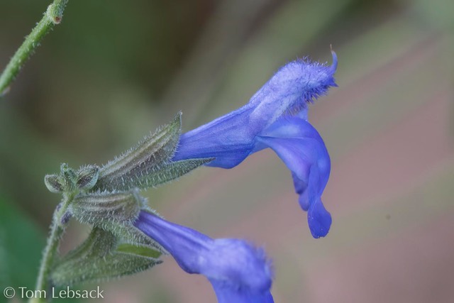 D82_1033-Edit