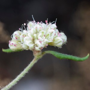 D82_1049-Edit