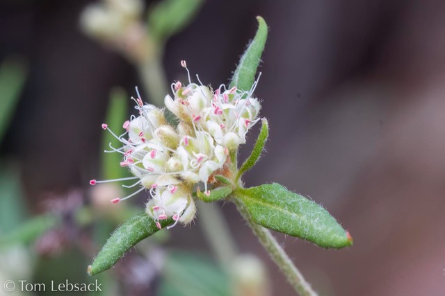 D82_1052-Edit
