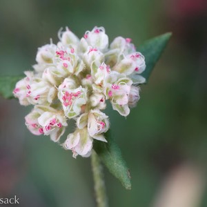 D82_1073-Edit