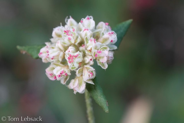 D82_1073-Edit