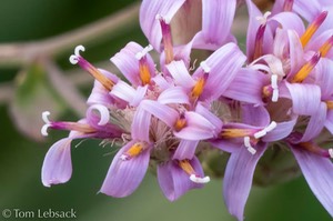D82_1115-Edit