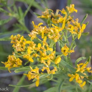 D82_1133-Edit