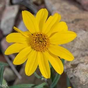 D82_1183-Edit