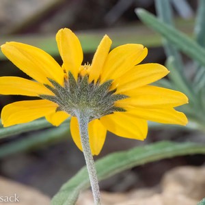 D82_1192-Edit